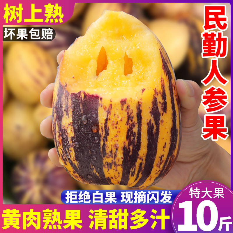 民勤人参果丨树上熟,只发黄肉