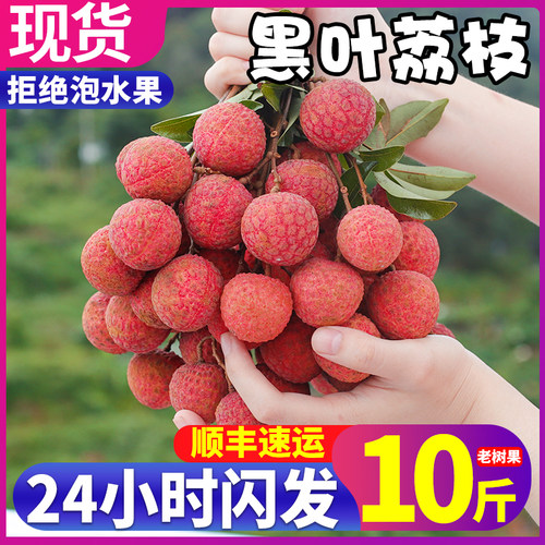 顺丰京东10斤老树大果黑叶荔枝