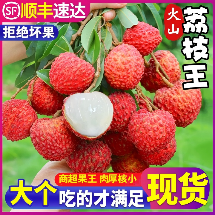 现货海南荔枝王10斤当季新鲜现摘水果老树大果批发整箱顺丰包邮