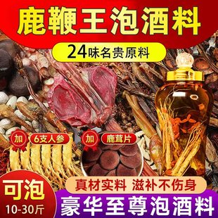 鹿鞭整根泡酒料人参鹿茸鹿筋冬虫夏草十全大补养生肾专用泡酒药材