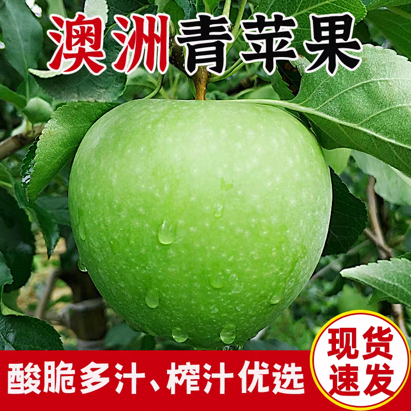 澳洲青苹果新鲜现摘有机脆绿高酸水果脆甜榨汁应季苹果孕妇水果
