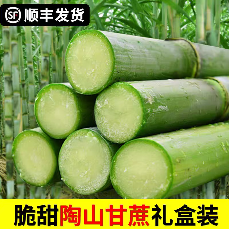 顺丰陶山甘蔗现货青皮绿皮甘蔗孕妇新鲜水果应季果蔗现砍发脆甜蔗