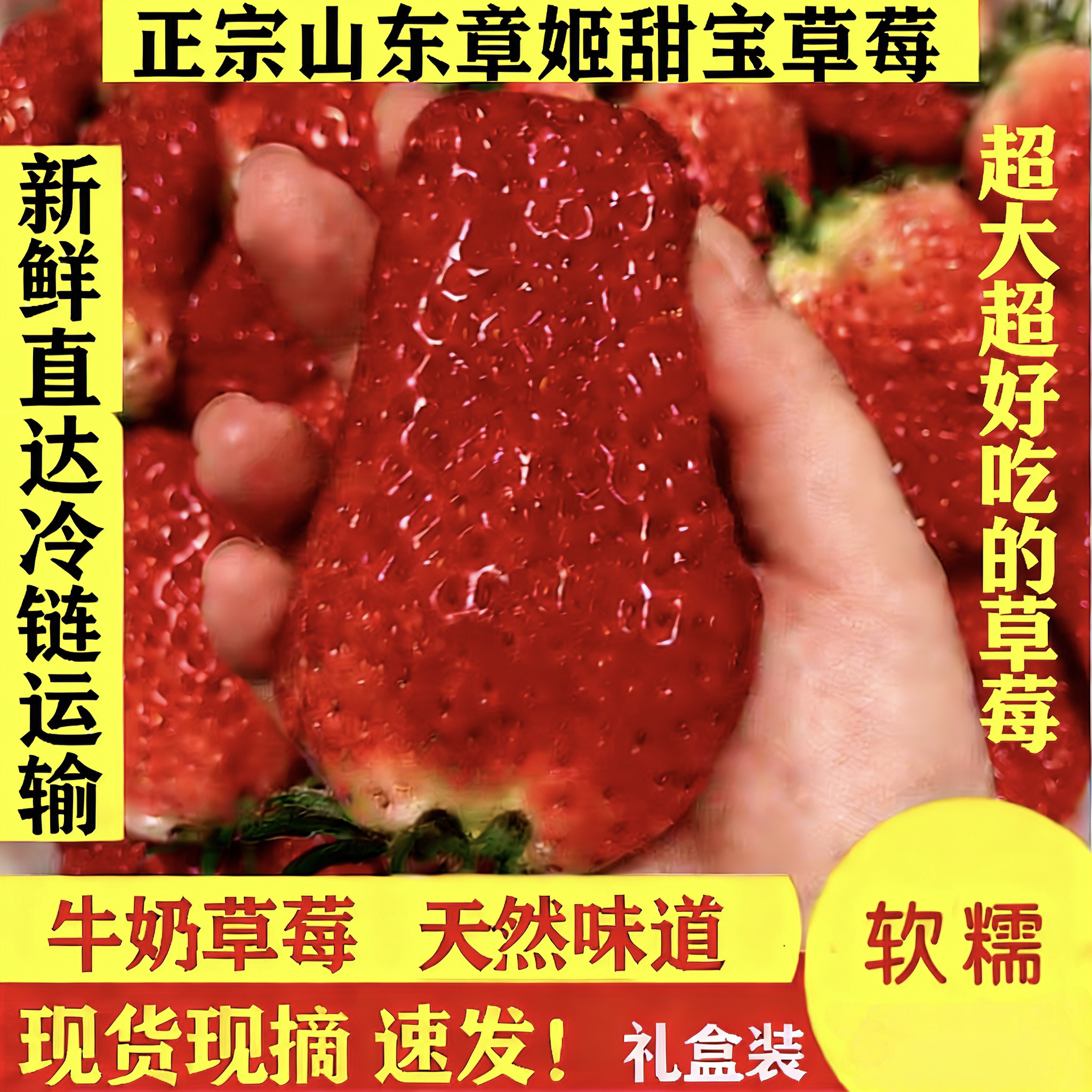 顺丰奶油草莓新鲜水果章姬草莓山东超大甜宝胜丹东99草莓孕妇礼盒