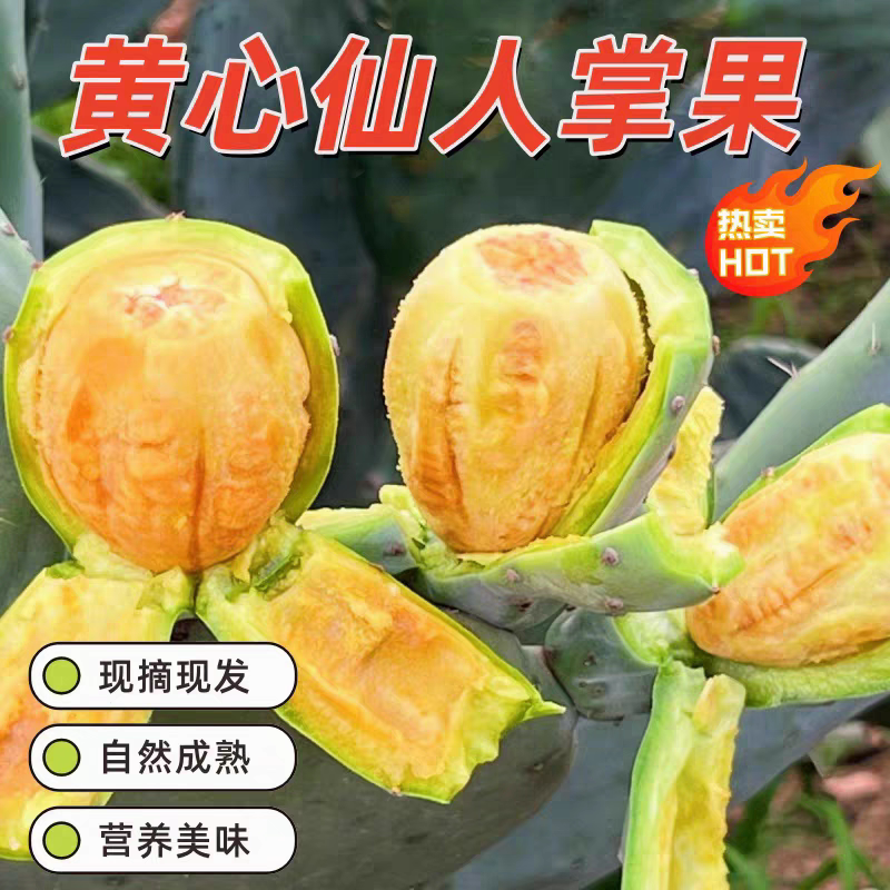 稀有黄心仙人掌果新鲜现摘宝塔新鲜水果黄心多汁黄心仙桃整箱顺丰