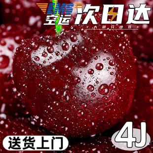包邮 孕妇水果大樱桃顺丰空运一整箱 正宗车厘子大樱桃新鲜水果当季