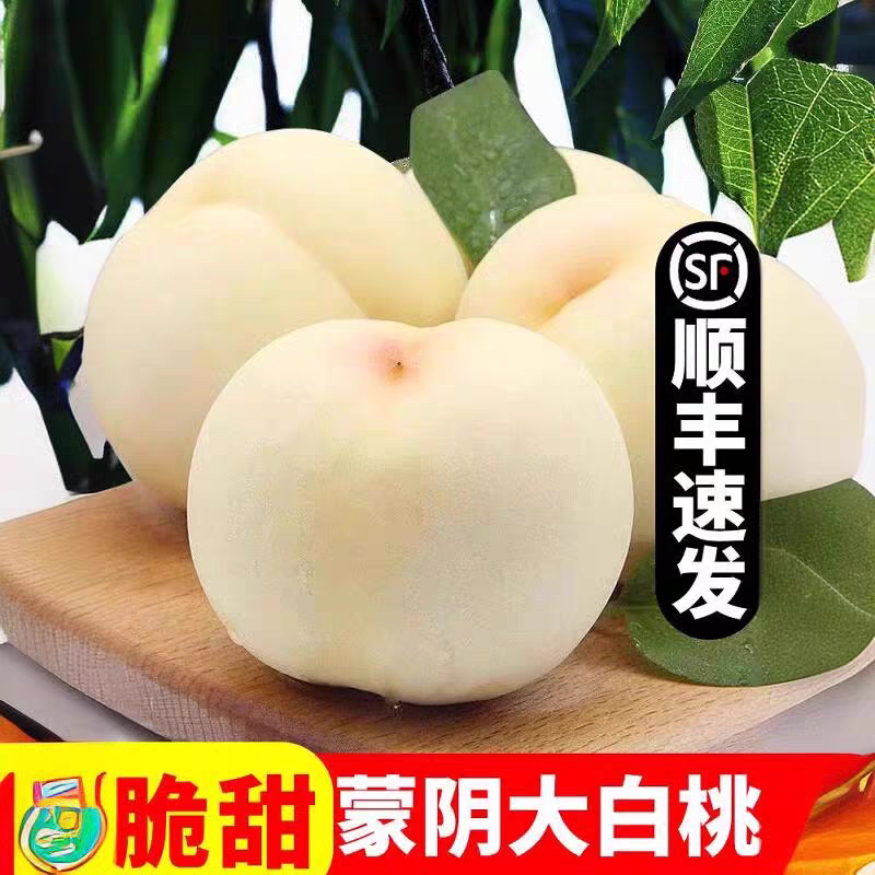 山东大白桃蒙阴奶油白玉桃当季水蜜桃脆甜白毛桃非白凤桃新鲜水果