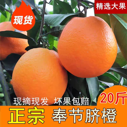 正宗重庆奉节脐橙9斤一整箱特大果90mm+ 果园直发