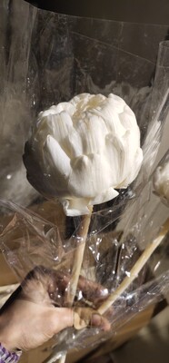 雪莲干花永生花雪莲花花艺造型插花花材昆明直发