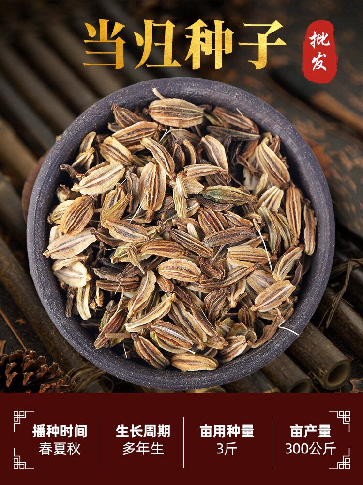当归种子党参种孑中药材种植图片