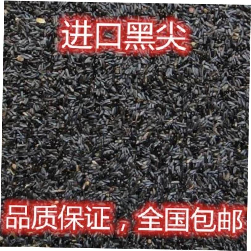 黑尖粟尼日尔草籽金丝雀鸟粮饲料提性进口现货500克黑尖1斤