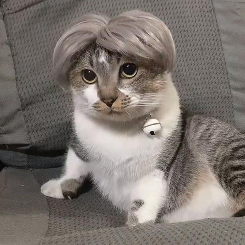 猫咪假发可爱变装头套头饰假发中分蔡徐坤ikun卖萌搞笑宠物帽子