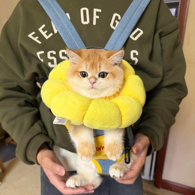 猫猫背带绳汉堡包外出专用绳子宠物用品遛猫小型犬背带绳猫咪背心