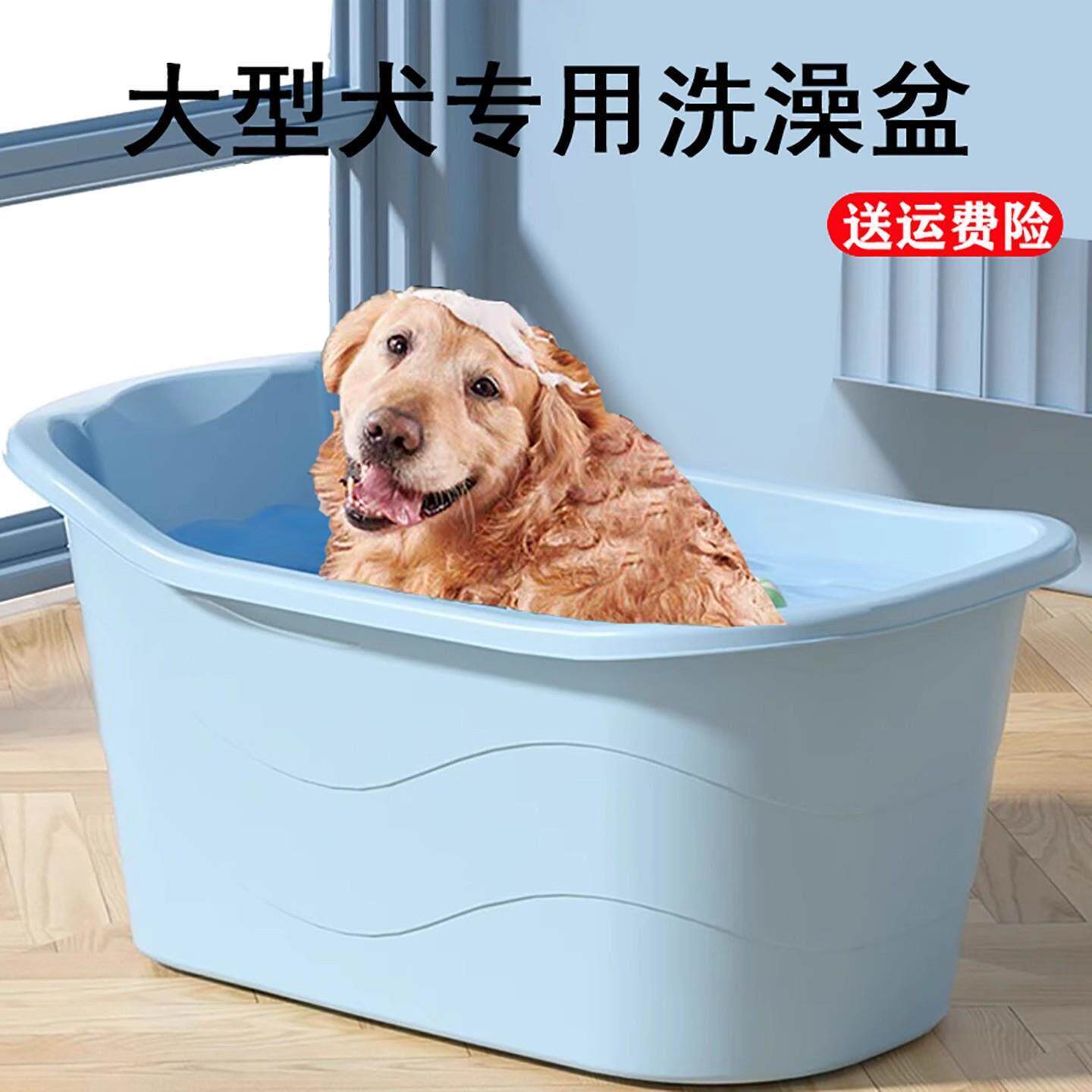 狗狗游泳池家用泰迪柯基神器猫猫猫盆游泳池宠物狗金毛防跑洗猫