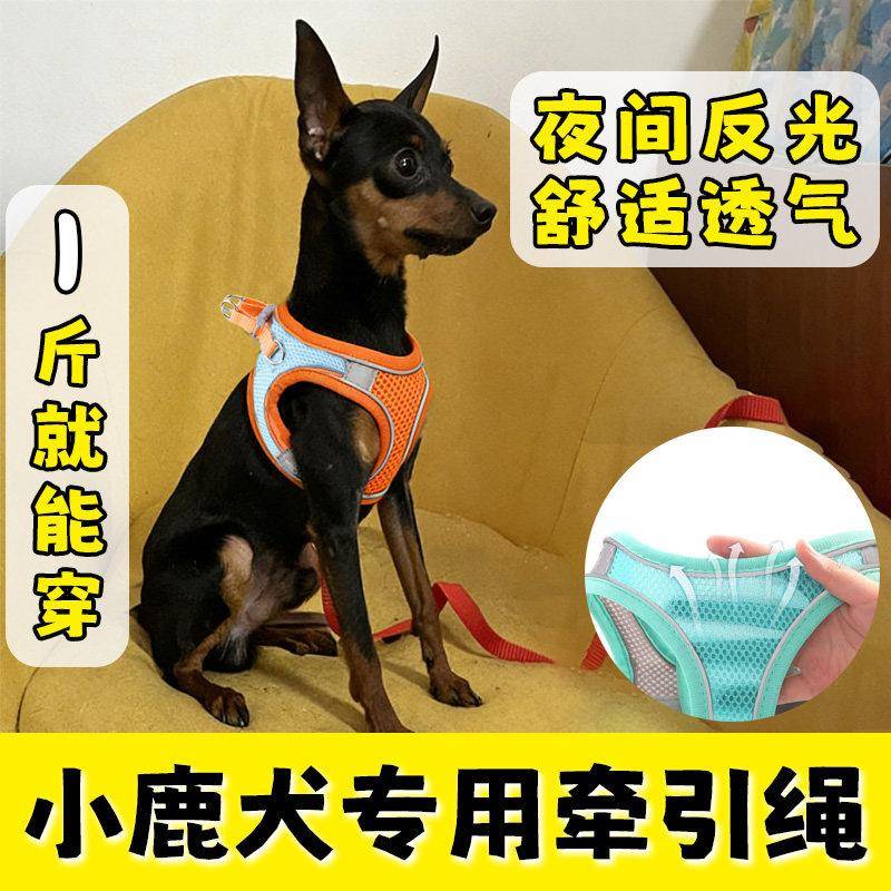 小鹿犬专用透气牵引绳背心式遛狗狗绳可调节胸背小型幼犬用品大全