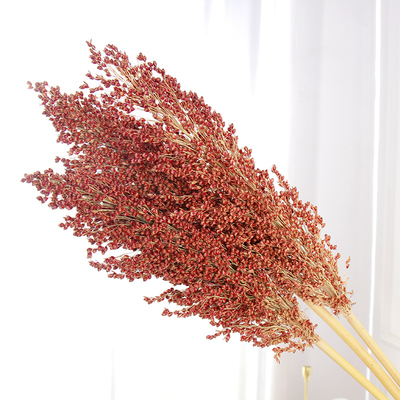 高粱仿真麦子稻穗芦苇干花