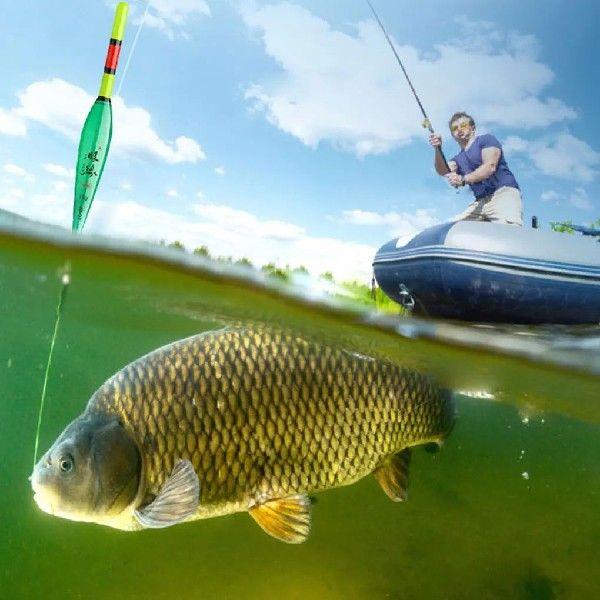 3pcs/set Floating Fishing With LED Lights Illuminate