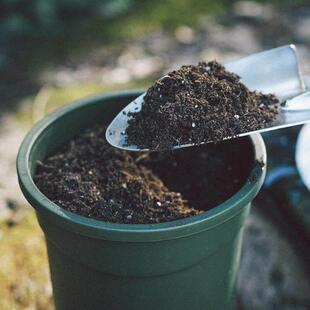 Organic Potting Soil Mix Nutrient Rich Coco Coir Worm Castin