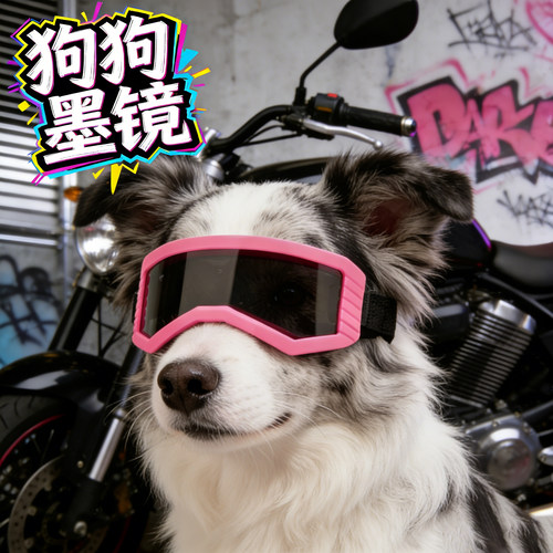 边牧专用狗狗护目镜墨镜小狗眼镜防风镜大型犬配饰宠物可调节骑行