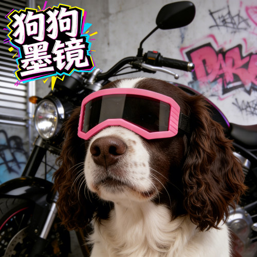 史宾格专用狗狗护目镜墨镜小狗眼镜防风镜大型犬配饰宠物头饰出行
