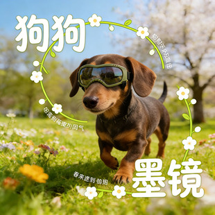 狗狗墨镜小型犬腊肠犬专用眼镜防风镜宠物小狗护目镜外出用品兜风