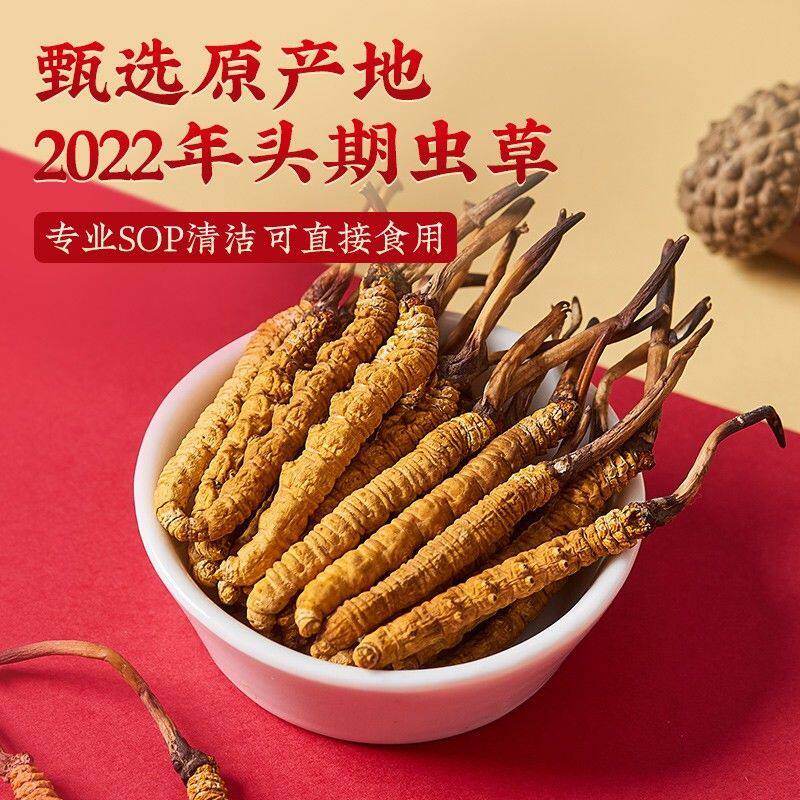 西藏那曲冬虫夏草正宗断草新鲜草精选头期草干货煲汤泡水冬断虫草