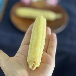 云南者甘香农家种植拇指小玉米老品种软糯皮薄新鲜代餐迷你手指