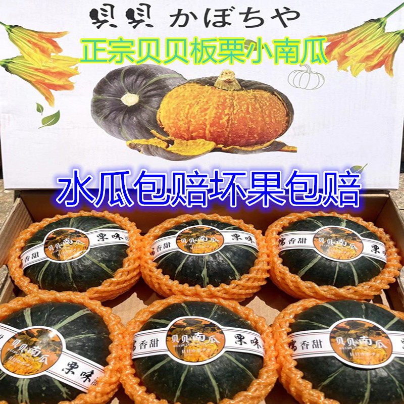 贝贝小南瓜板栗味5-6只礼盒装粉糯香甜孕妇宝宝辅食新鲜蔬菜南瓜