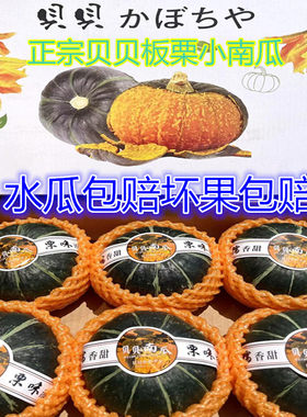 贝贝南瓜板栗味礼盒装粉糯南瓜