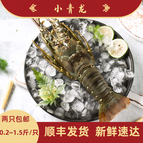 越南鲜冻小青龙顺丰发货