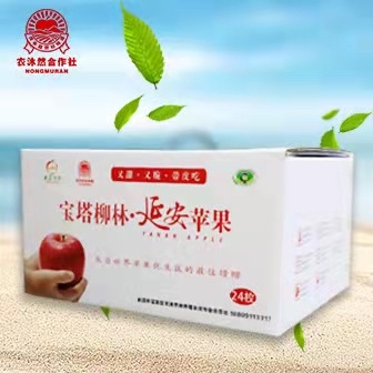 农沐然延安苹果 红富士 陕西延安 山地 苹果 礼盒装 24枚80#装