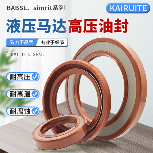 氟胶骨架油封耐高温耐高压耐腐蚀