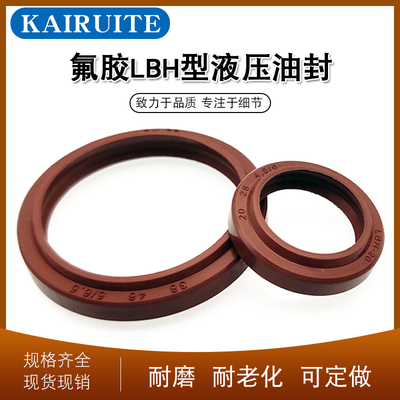 氟胶LBH25/26/28/30/31.5*33/34/36/38/39.5*6/6.5  液压防尘圈