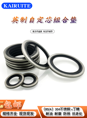 304不锈钢丁晴英制组合垫圈/BS/A英制自定芯垫片液压接头密封圈
