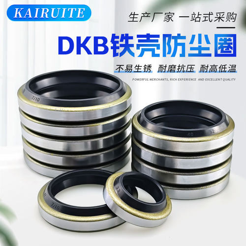 碳钢+丁晴外骨架防尘耐磨耐油