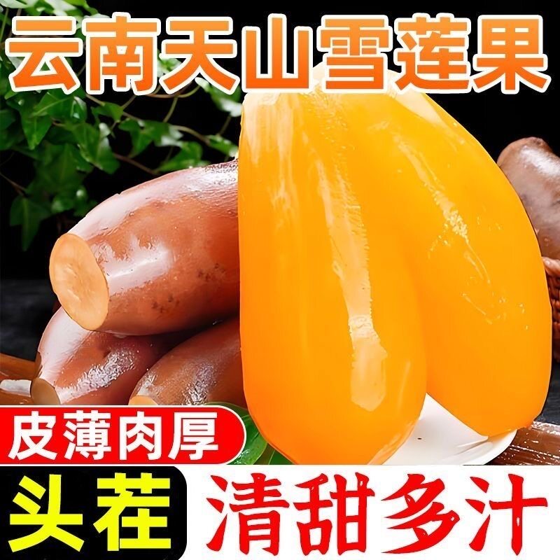 云南黄心雪莲果脆甜多汁包邮