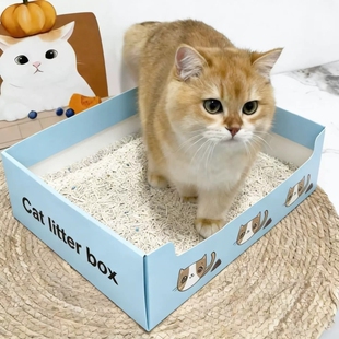 一次性猫砂盆车载猫窝方便快捷旅行出游大空间舒适可摺叠猫咪厕所