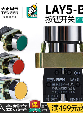 天正 LAY5平头自复位按钮开关BA31/41/51/21/35/45/42 BE101/102
