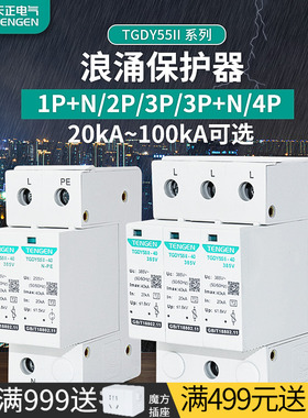 天正TGDY55II防避雷电涌浪涌保护器2P4P家用220V单相20KA三相40KA