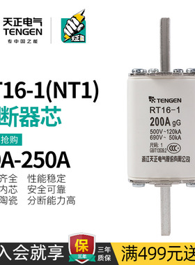 天正熔断器刀形保险丝250A 200A 160A熔芯NT1 RT16-1 RO32 RT36-1