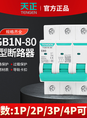 TENGEN天正TGB1N-80空气开关80A小型断路器1P2P3P4P电闸80A家用
