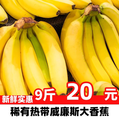广西大香蕉威廉斯纯自然大香蕉新鲜香甜香蕉9斤整箱威廉斯香蕉