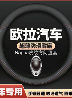欧拉方向盘套女好猫专用汽车把套黑猫白猫IQR1四季通用超薄车把套