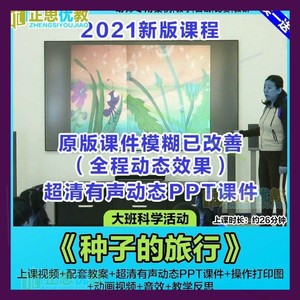 幼儿园大班科学优质公开课《种子的旅行》ppt课件种子传播教案新