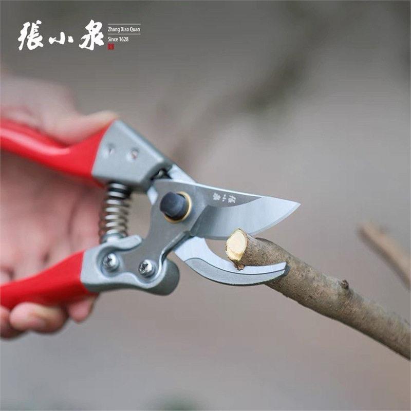 剪枝剪刀果树省力家用花卉修枝强力剪树枝果园园艺粗枝剪刀图片