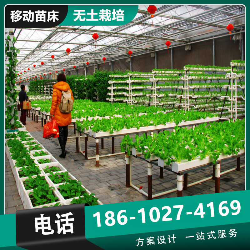 智能温室无土栽培移动苗床科研温室育苗床热镀锌定p做可移动育苗