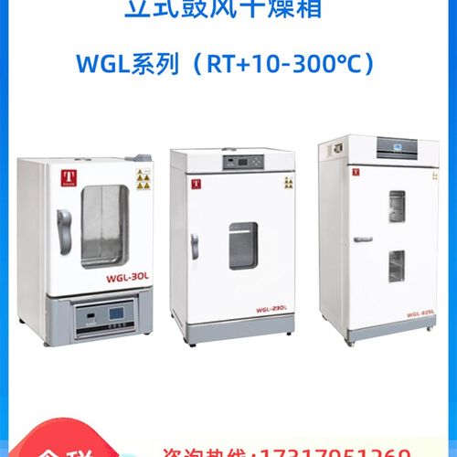 天津泰斯特WGL-625D/L/T立式鼓风干燥箱高温烘箱电热烤箱300