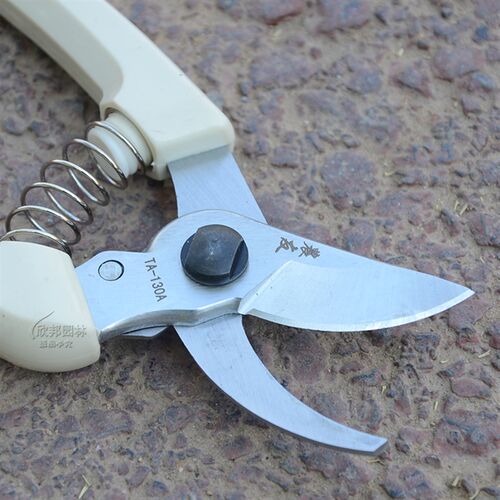 台湾农友TA-130A省力修枝剪台湾进口果树剪园艺剪整枝剪刀园艺工