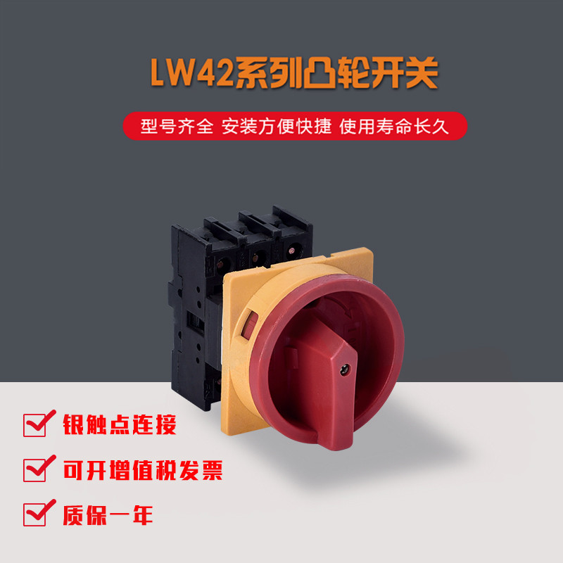 厂家直销 凸轮负荷转换开关 电源通断开关 LW42AB25-1016/F101