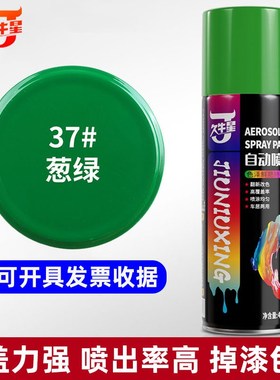 绿色自动喷漆防锈金属漆浅绿墨绿墙面涂鸦广告汽车电动车改色油漆