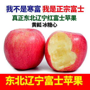 富士苹果新鲜水果东北辽宁绥中正宗红富士非寒富红苹果脆甜冰糖心